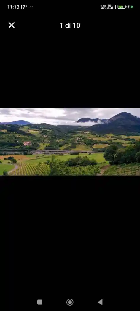 Appartamento in affitto a Travo