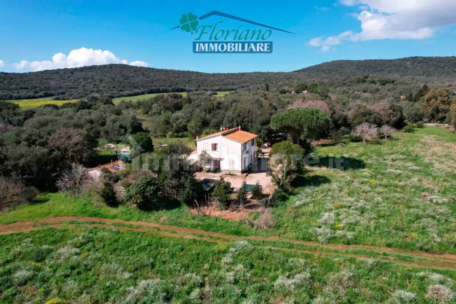 Rustico - Casale in vendita a Capalbio