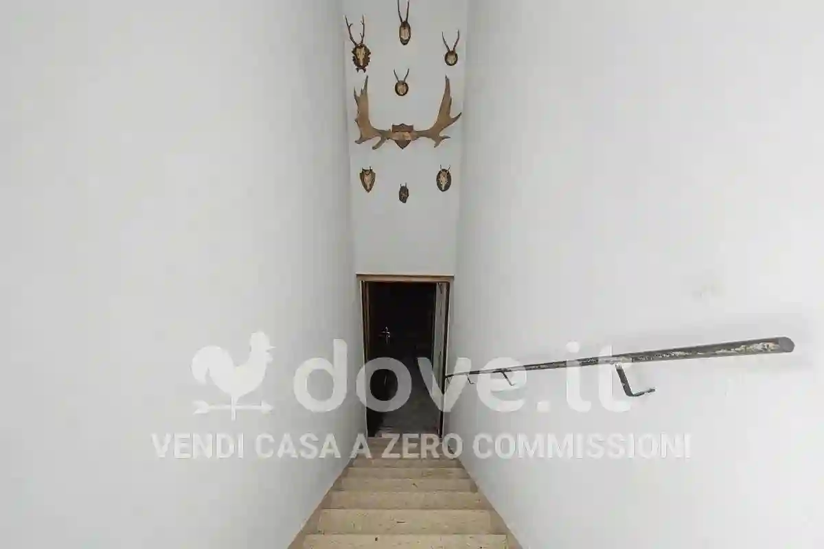 Palazzo - Edificio - foto 5