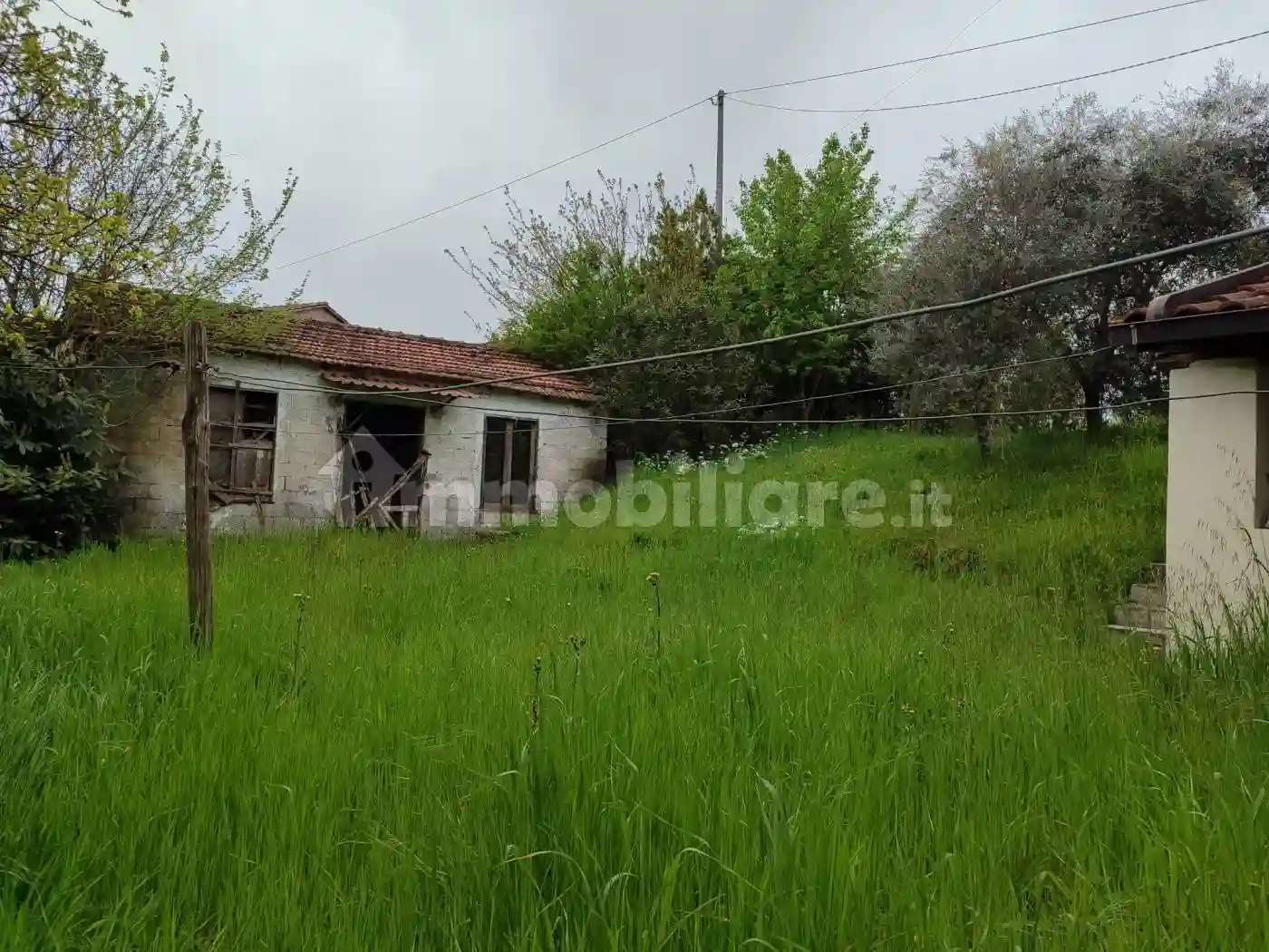 Rustico - Casale - foto 4