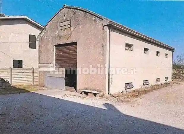 Palazzo - Stabile - foto 4