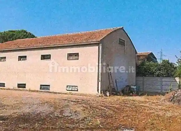 Palazzo - Stabile - foto 5