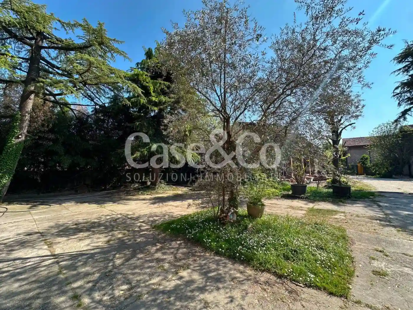 Palazzo - Edificio - foto 5