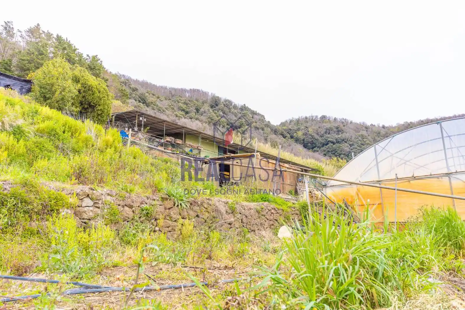 Villa in vendita a Nemi