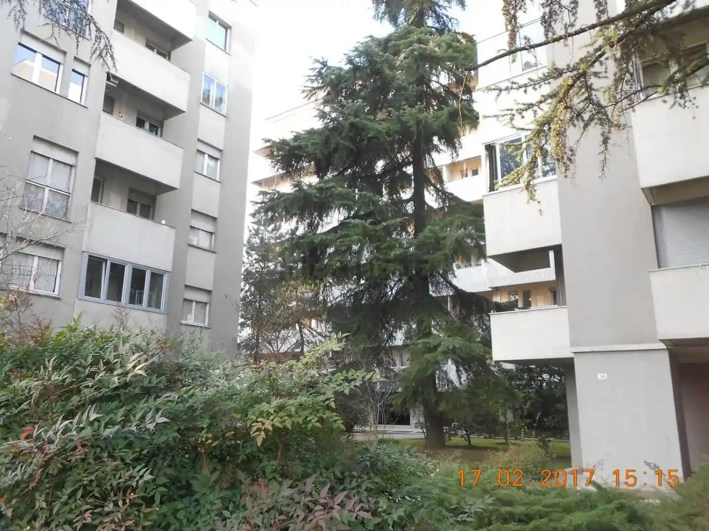 Appartamento in affitto a Bologna