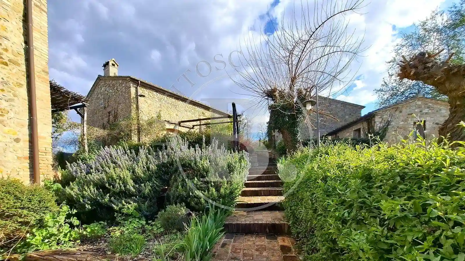 Rustico - Casale - foto 4