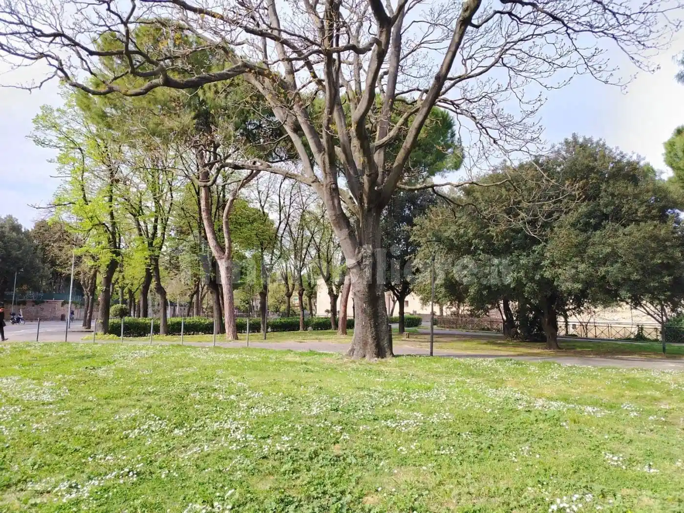 Appartamento in vendita a Pesaro