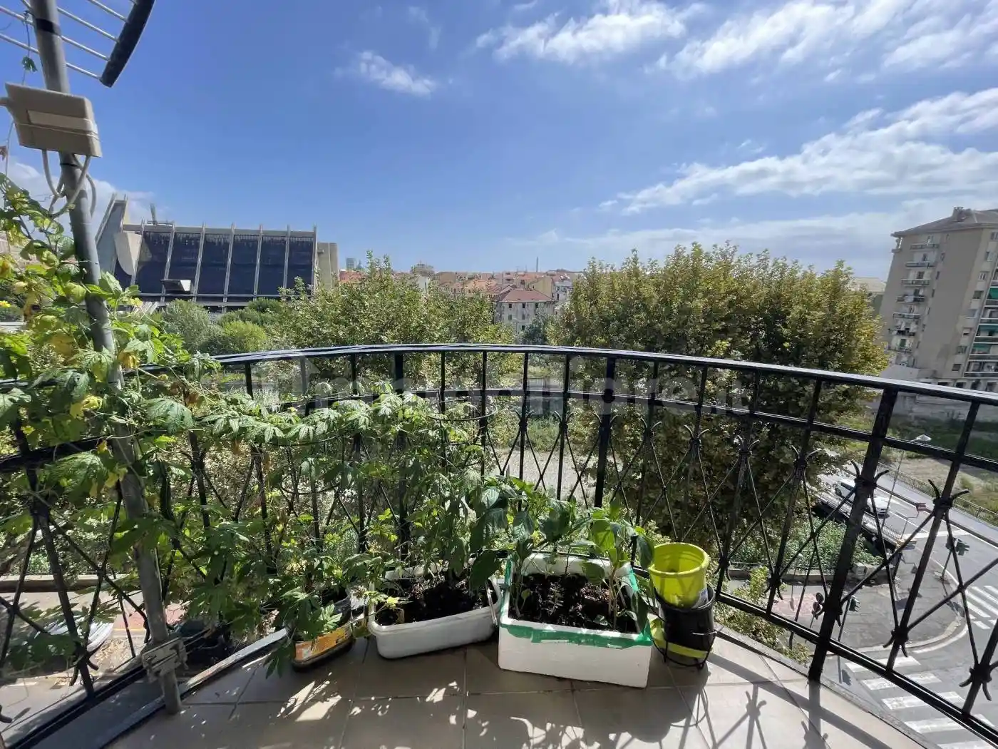 Appartamento in vendita a Savona