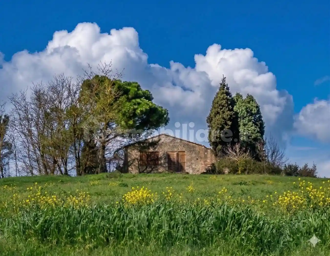 Rustico - Casale in vendita a Vinci