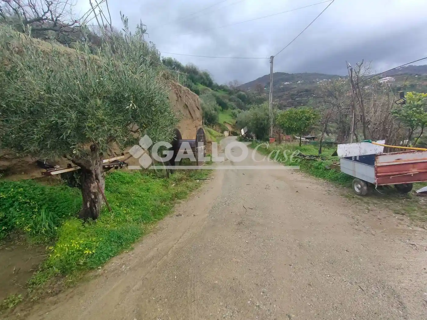 Casa indipendente in vendita a Castiglione Cosentino