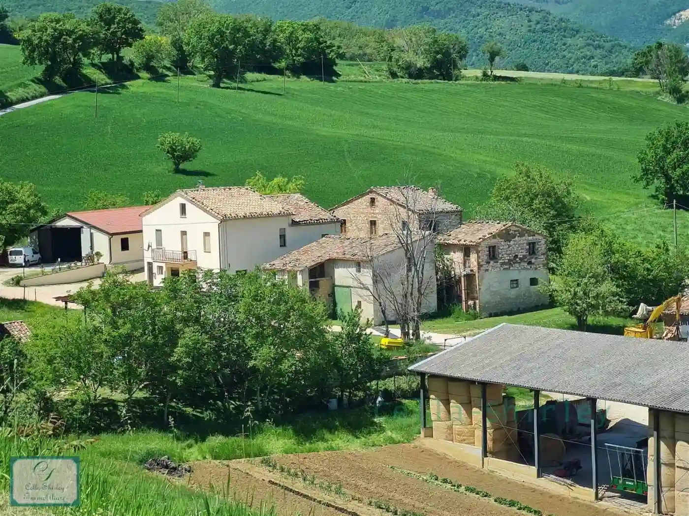 Rustico - Casale - foto 4