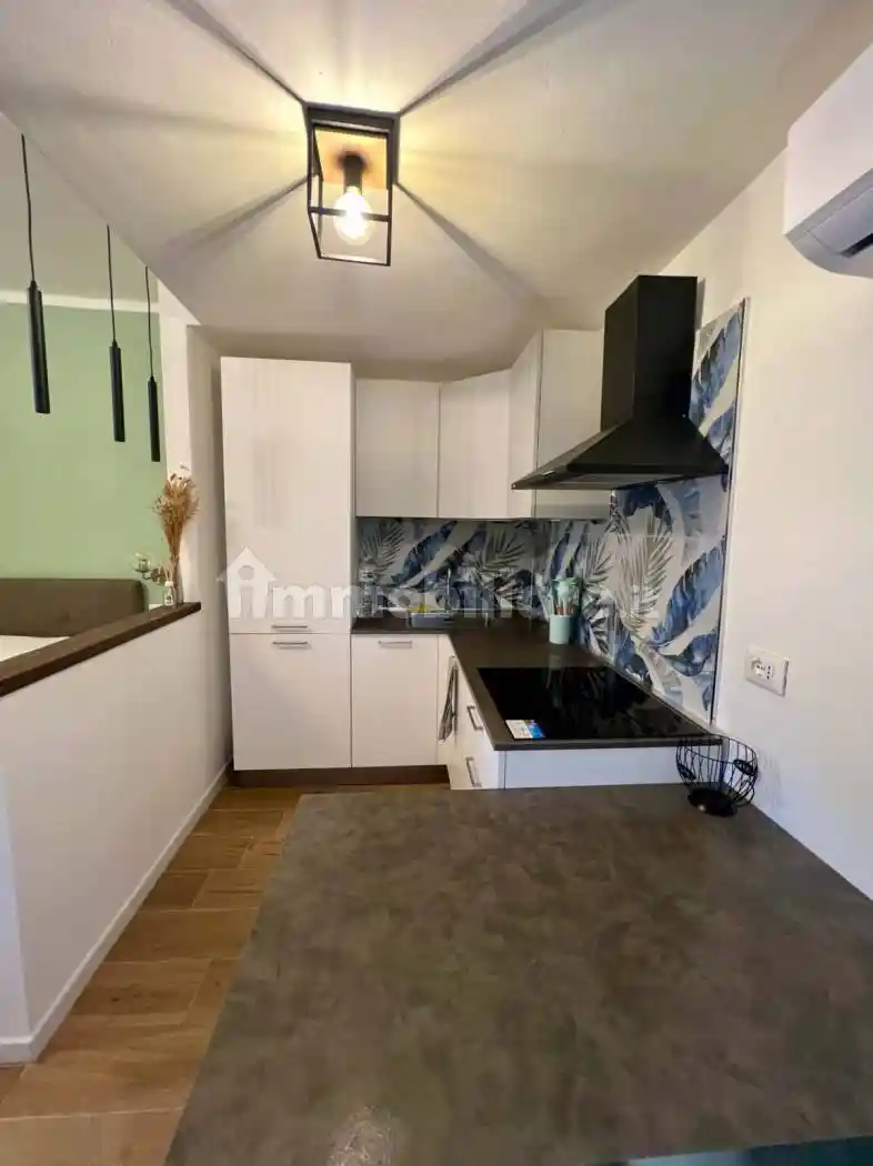 Appartamento in affitto a Vicopisano