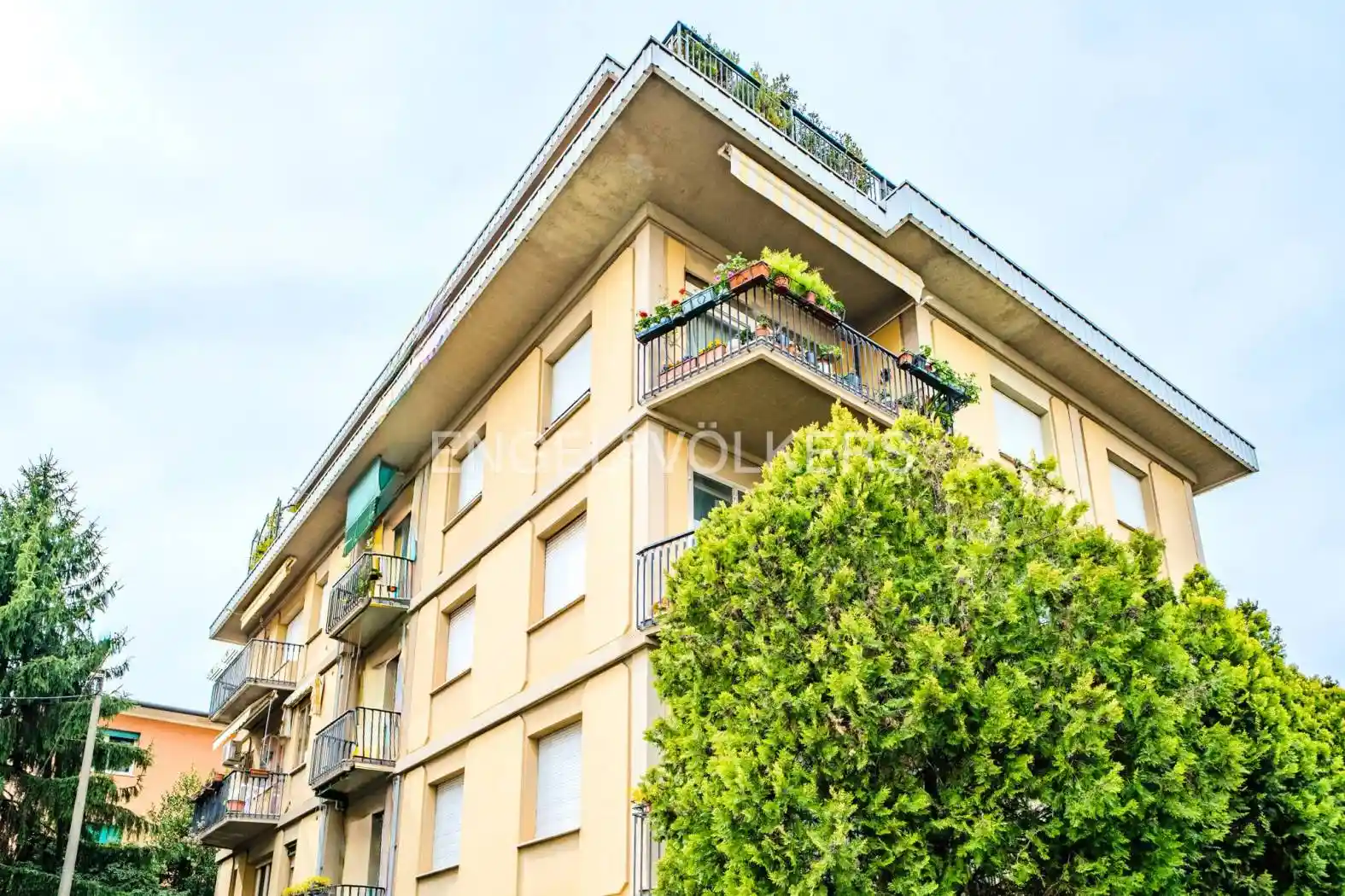 Appartamento in affitto a Treviso