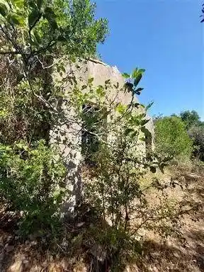 Rustico - Casale in vendita a Rio