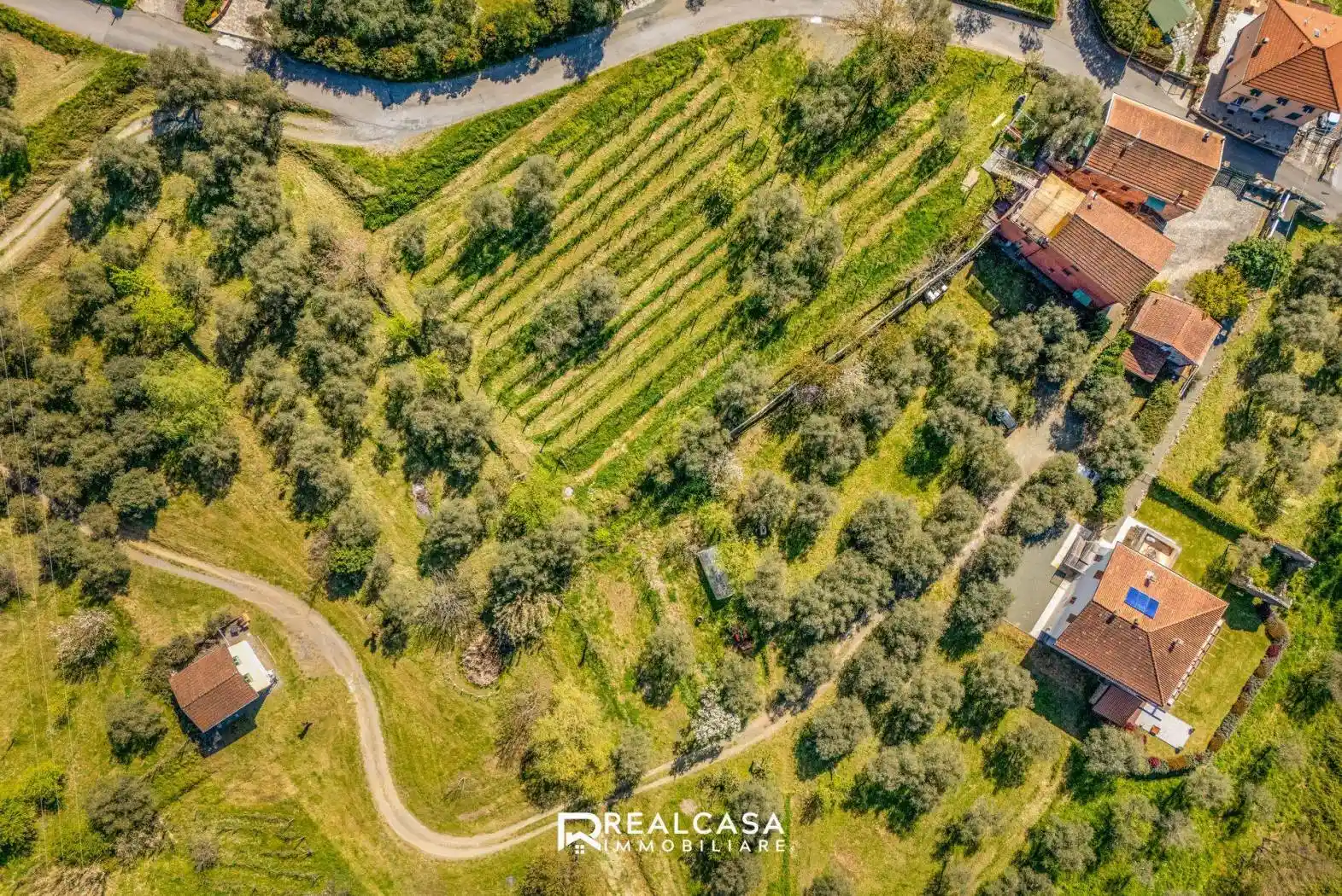 Rustico - Casale in vendita a Bolano