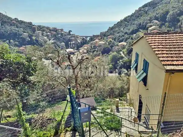 Appartamento in affitto a Zoagli
