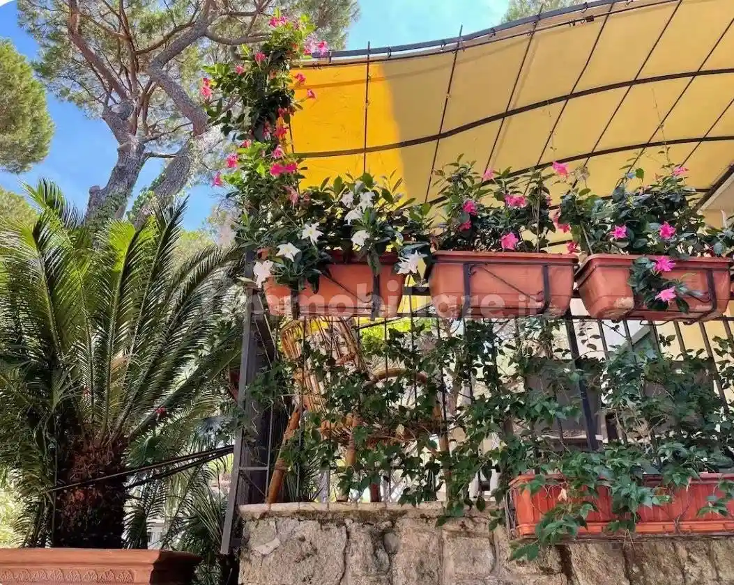 Appartamento in affitto a Grosseto