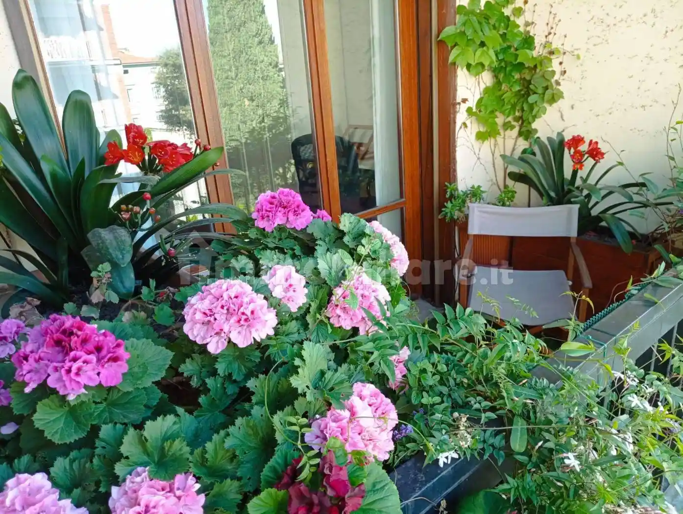 Appartamento in affitto a Firenze