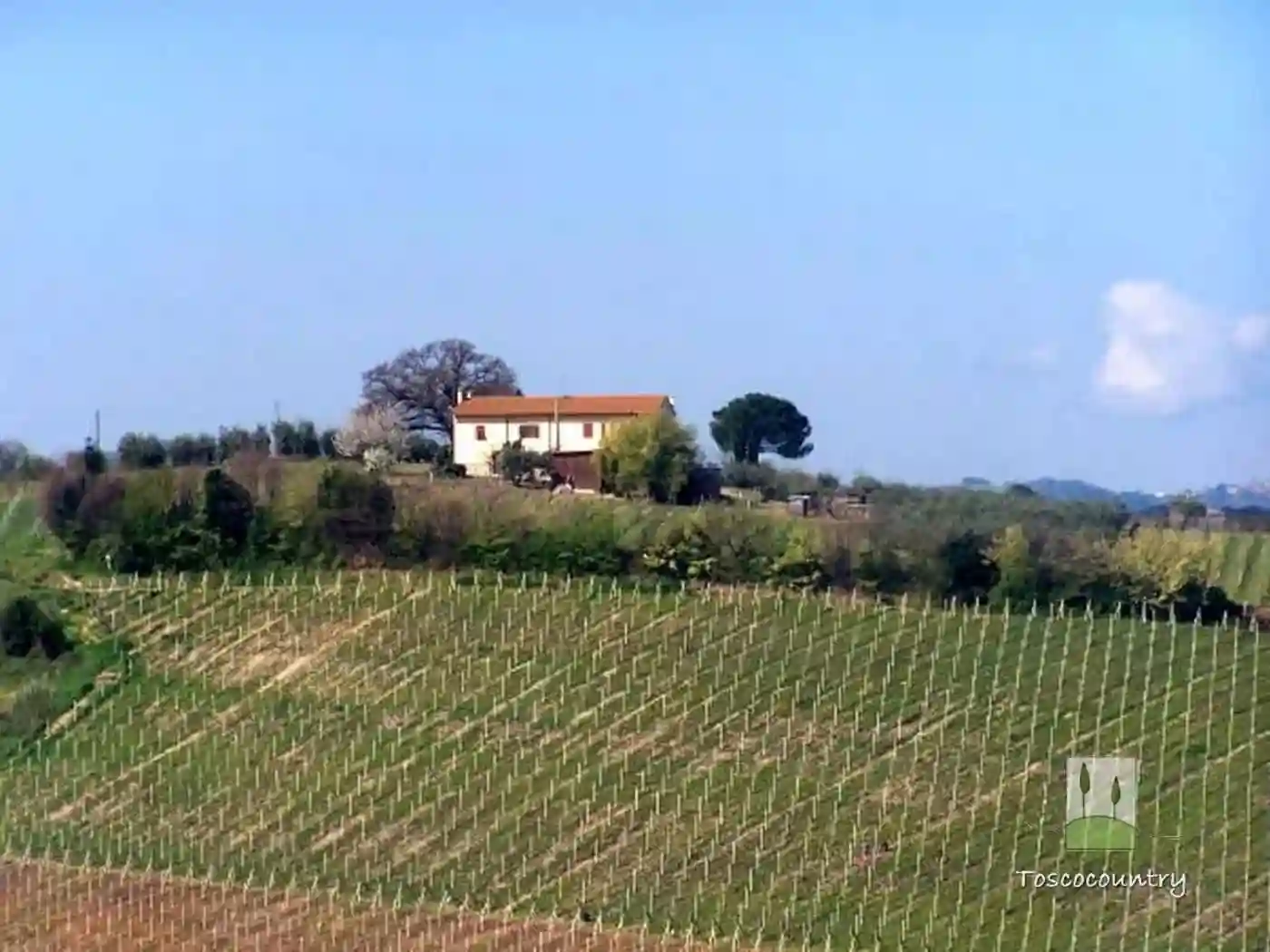 Rustico - Casale - foto 2