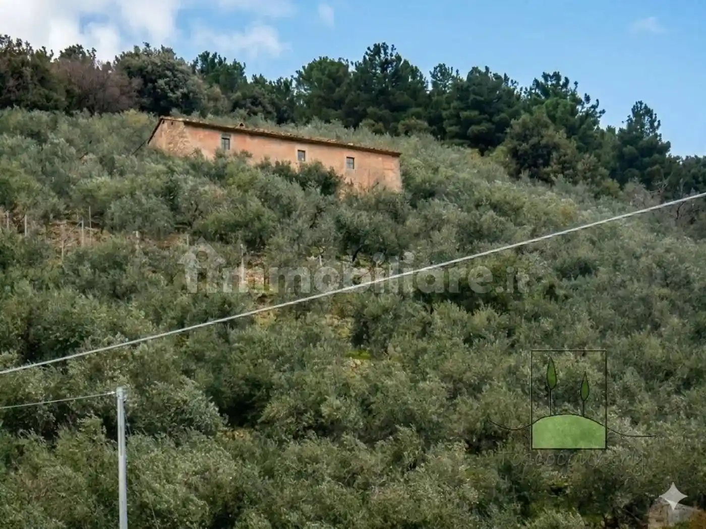 Rustico - Casale in vendita a Calci