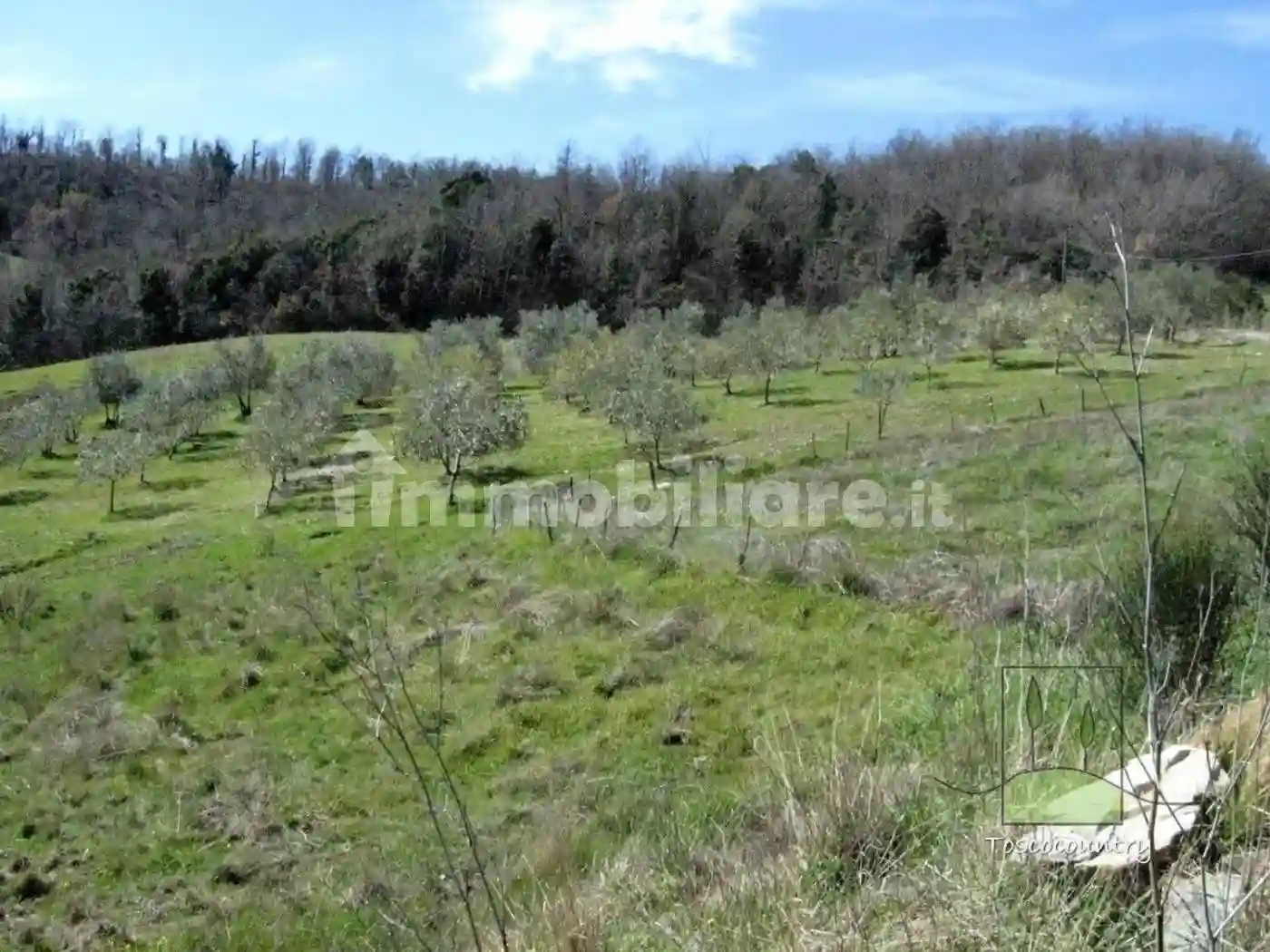 Rustico - Casale - foto 3