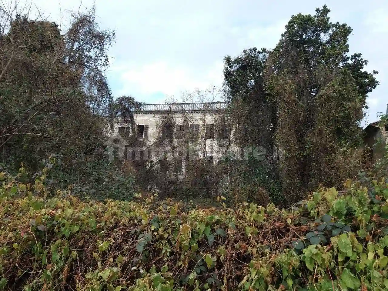 Palazzo - Edificio - foto 2