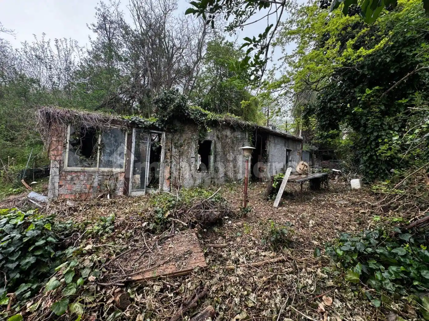 Casa indipendente in vendita a Mercato Saraceno