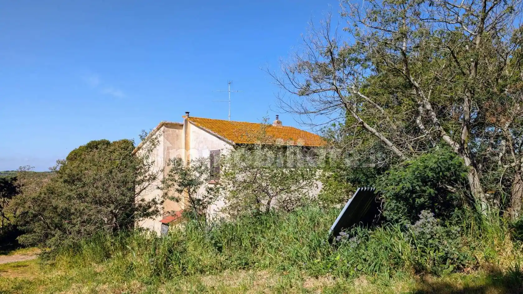 Rustico - Casale in vendita a Grosseto