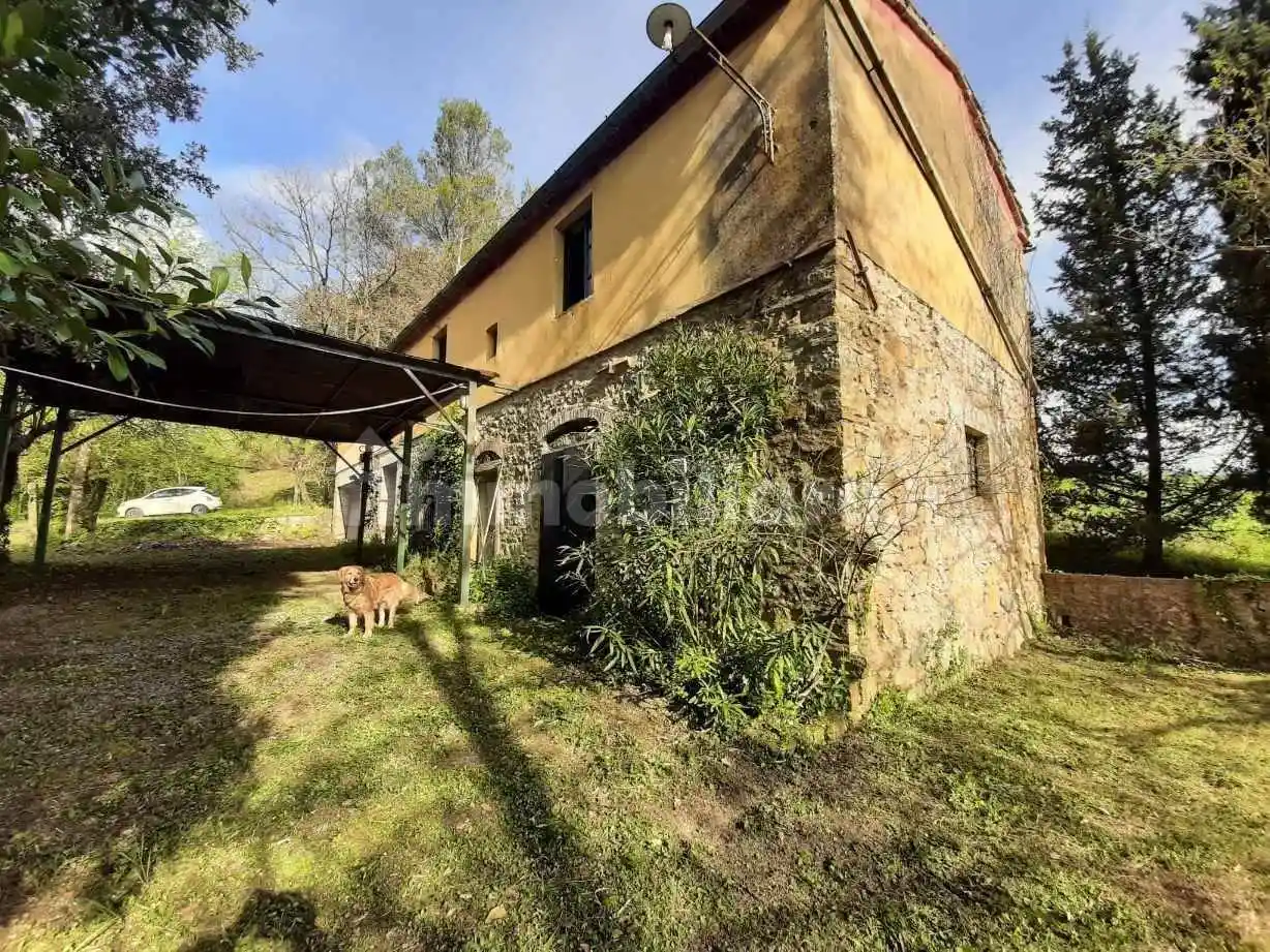 Rustico - Casale in vendita a Montescudaio