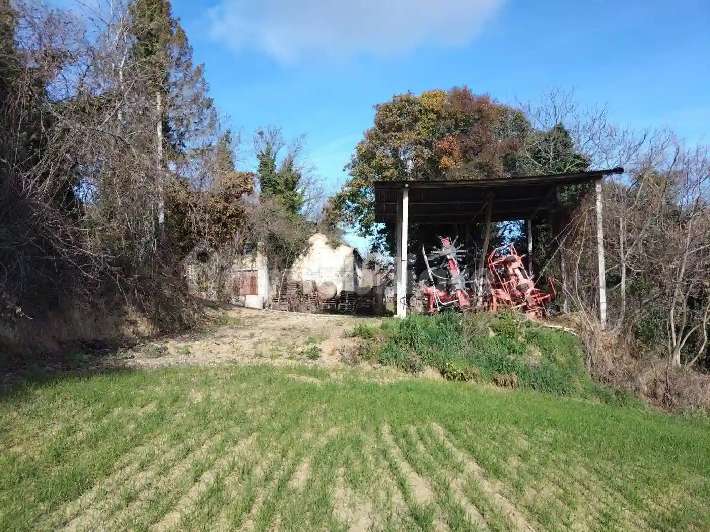 Rustico - Casale - foto 2