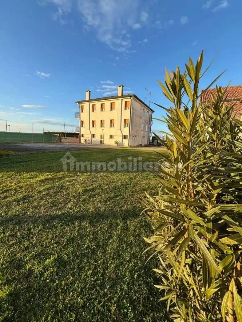 Palazzo - Edificio in vendita a Lendinara