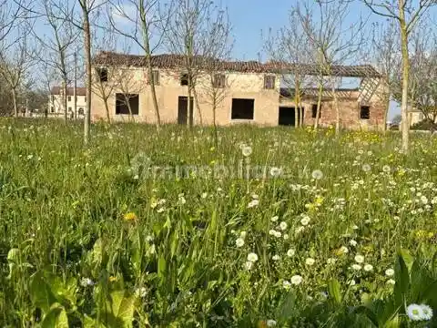 Rustico - Casale in vendita a Badia Polesine