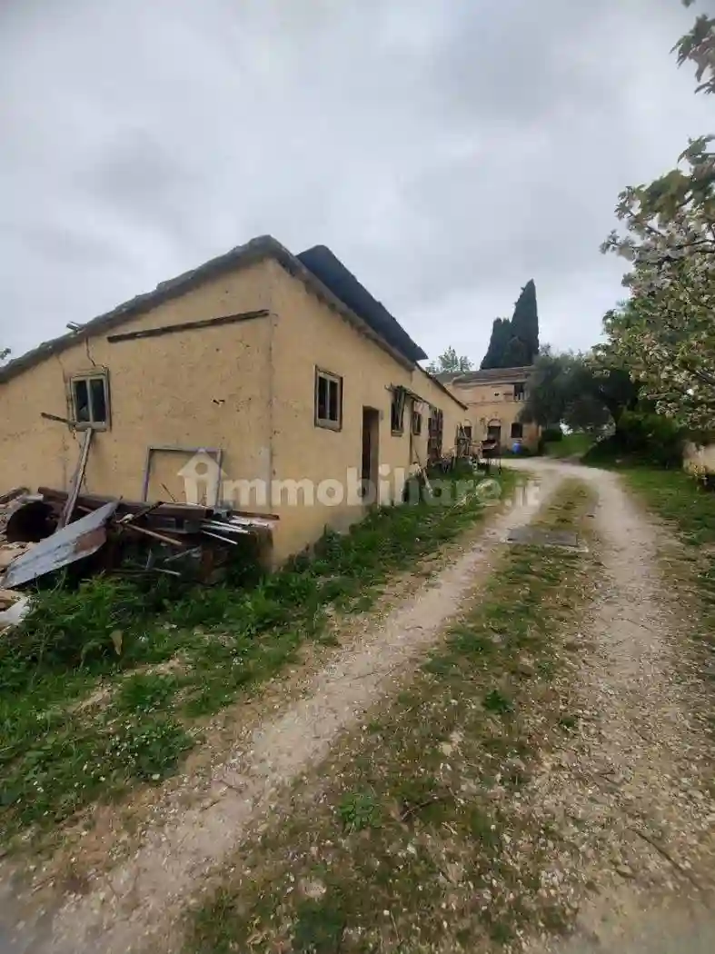 Rustico - Casale - foto 5