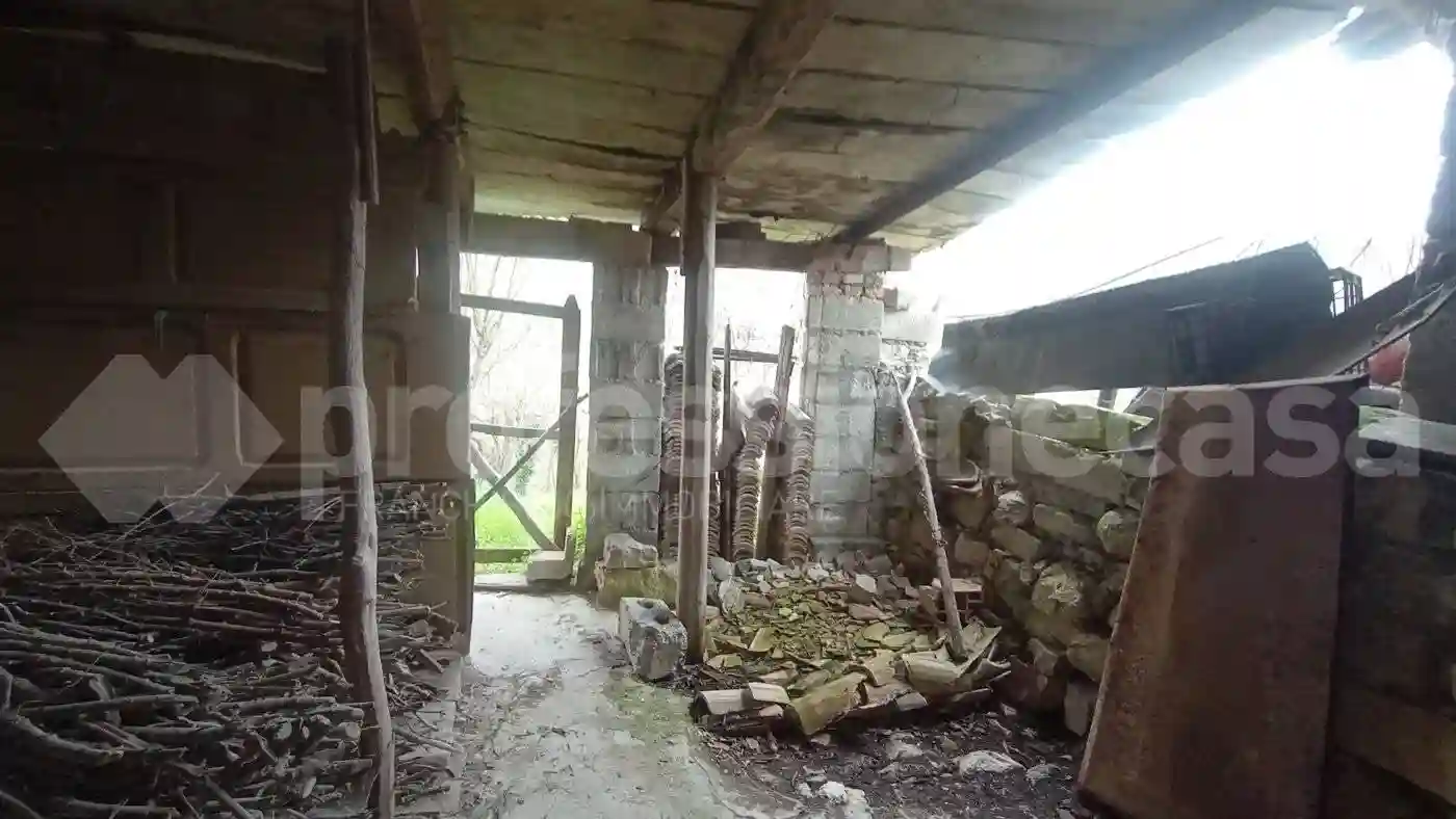 Rustico - Casale - foto 5