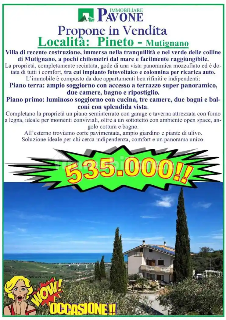Villa in vendita a Pineto