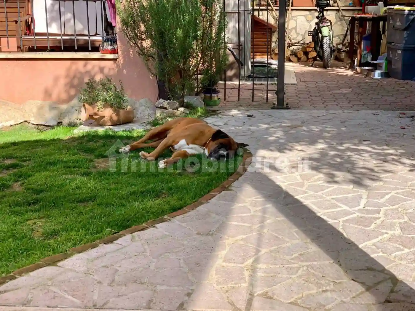 Casa indipendente - foto 3