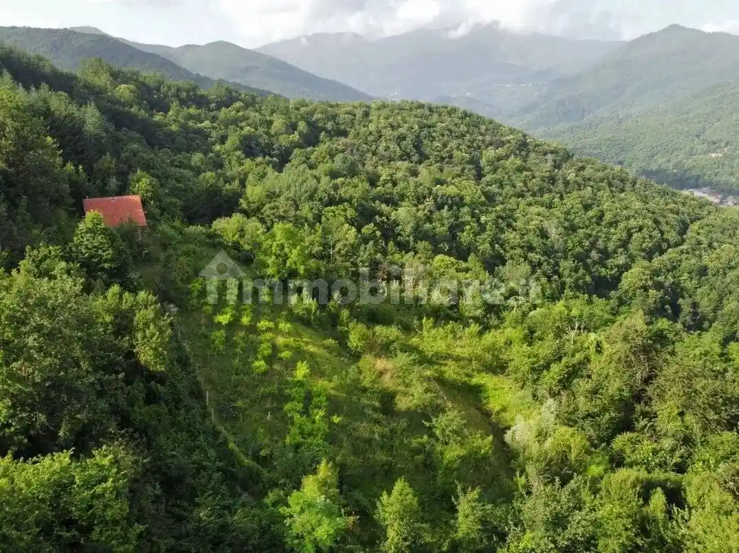 Casa indipendente in vendita a Scagnello