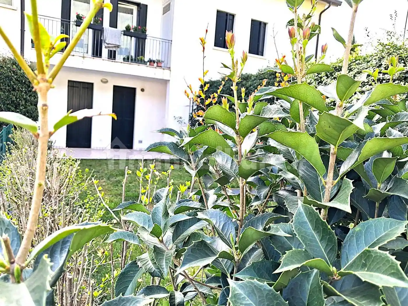 Appartamento in vendita a Borso del Grappa