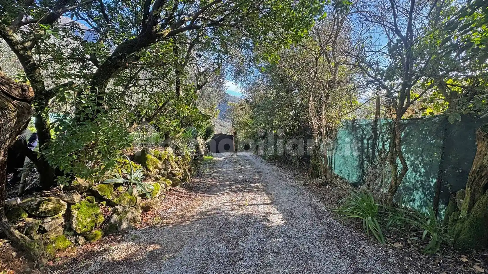Rustico - Casale in vendita a Camaiore
