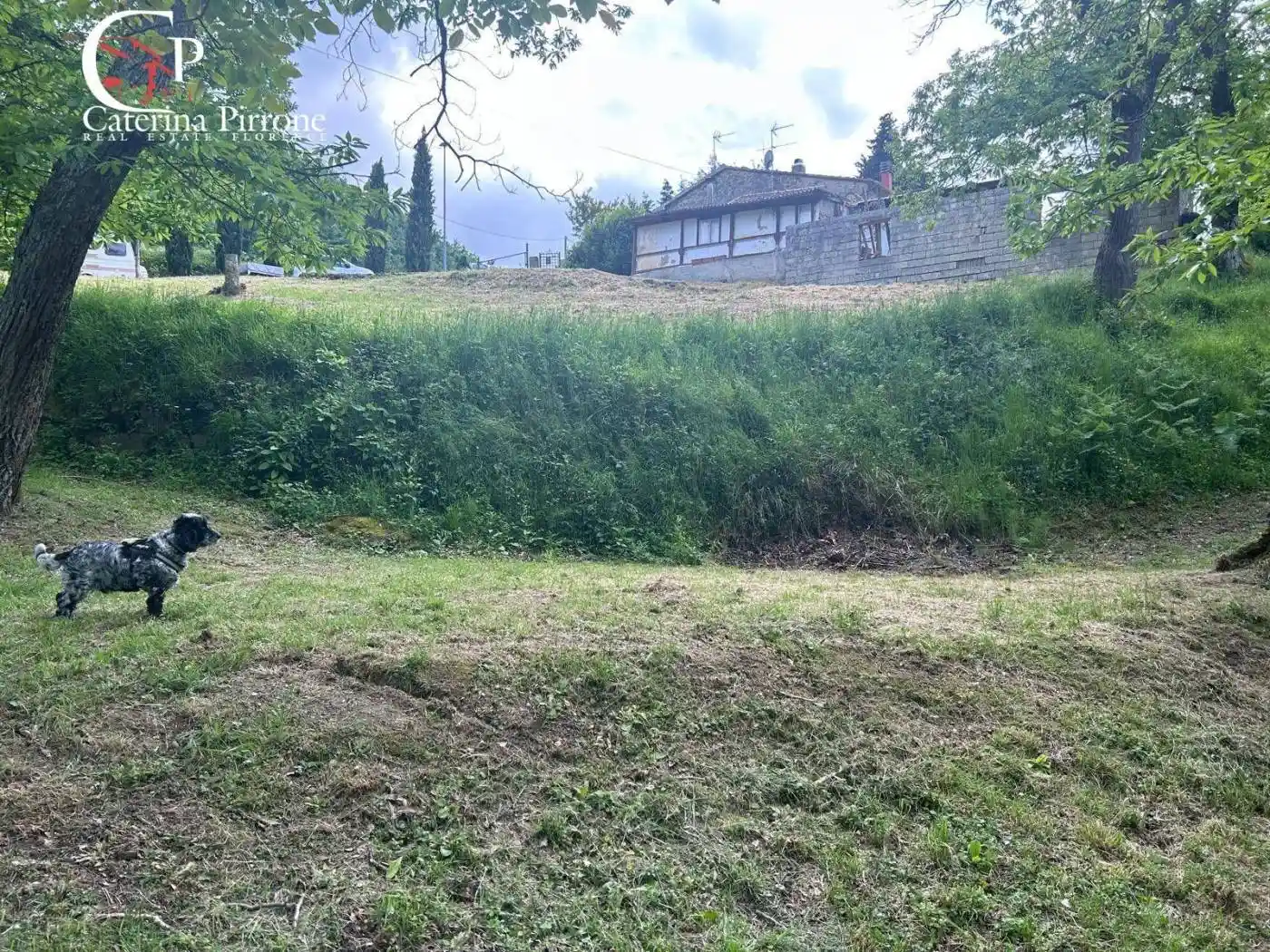 Rustico - Casale in vendita a San Godenzo