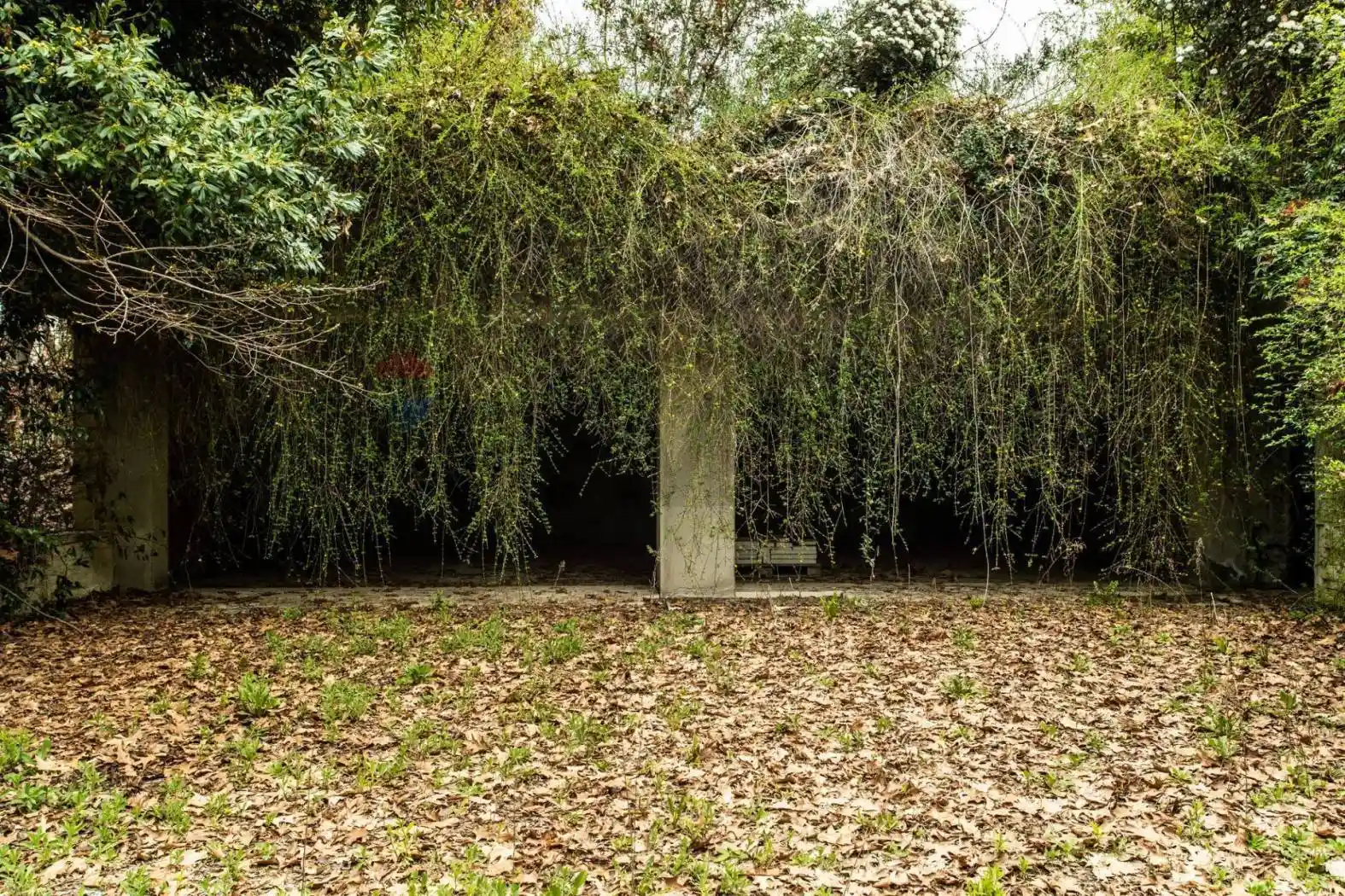 Villa in vendita a Camparada