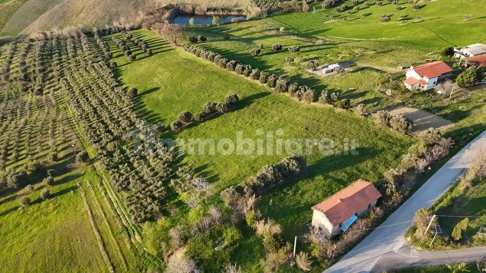Rustico - Casale - foto 5