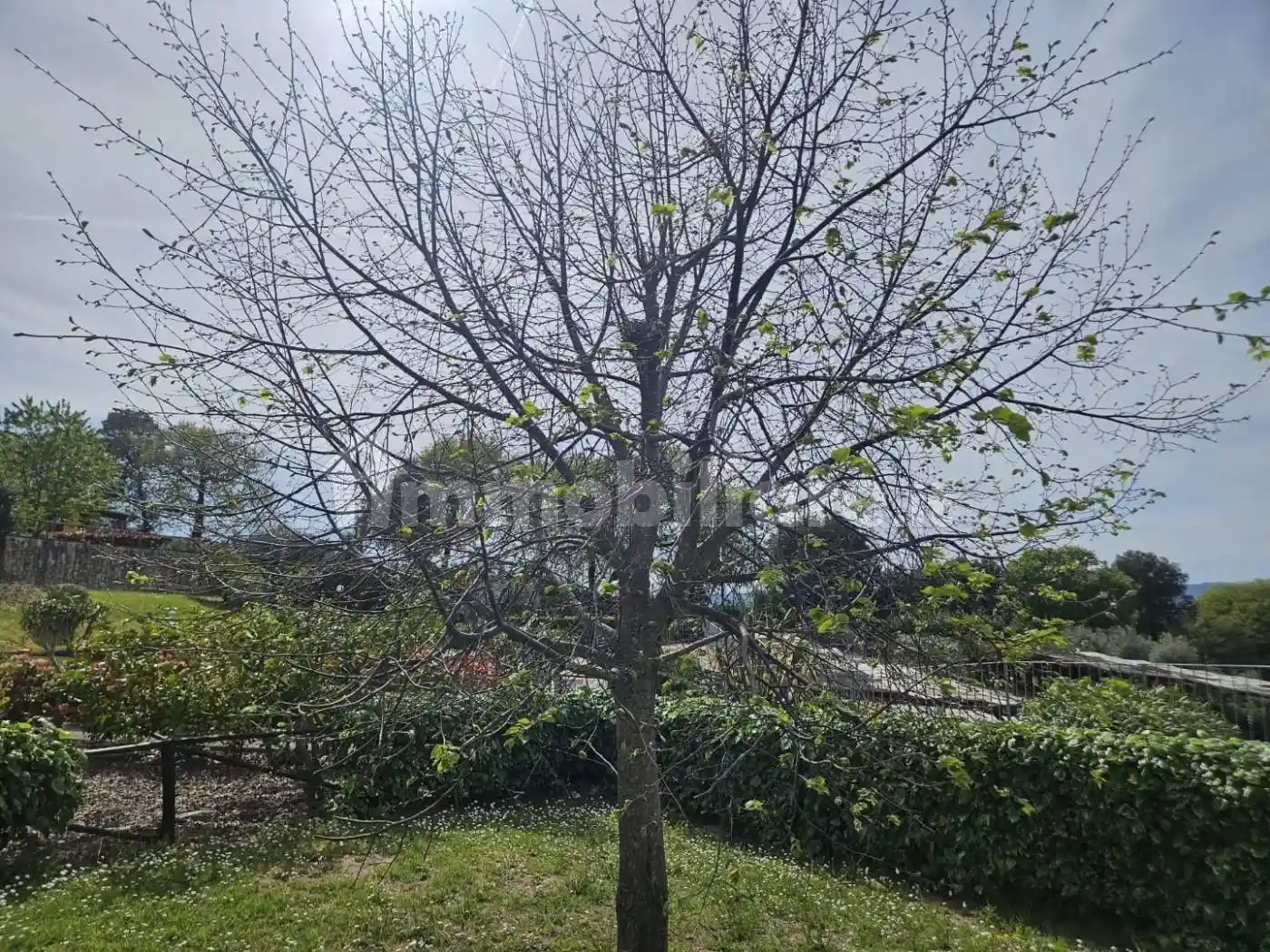 Appartamento in vendita a Santa Luce