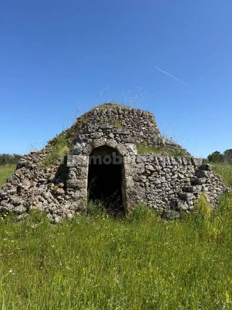 Rustico - Casale in vendita a San Vito dei Normanni