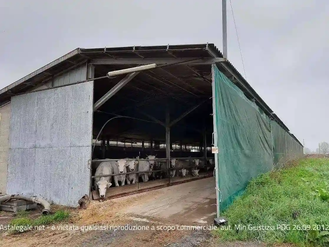 Rustico - Casale - foto 5