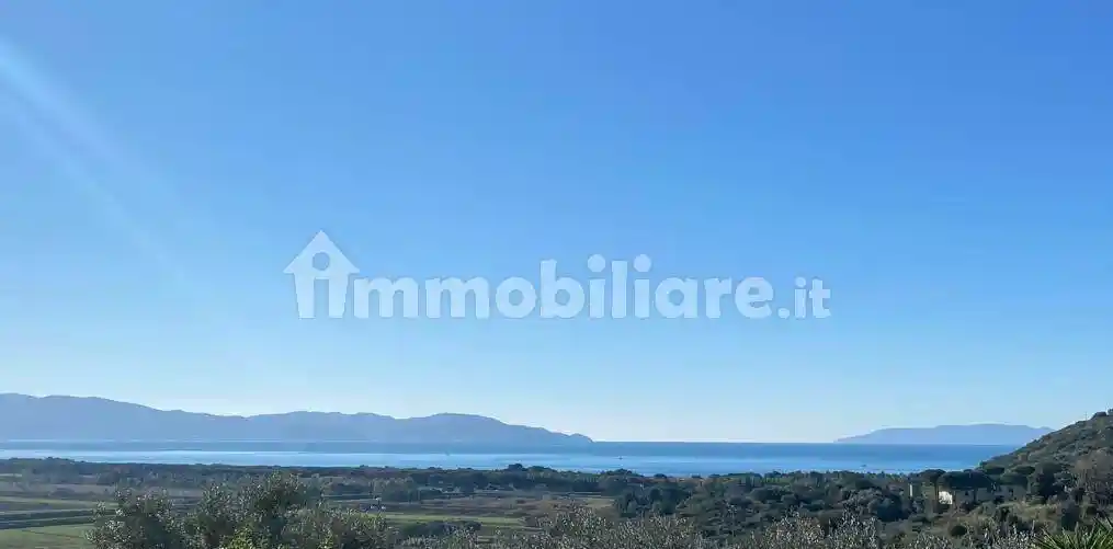 Rustico - Casale in vendita a Scansano