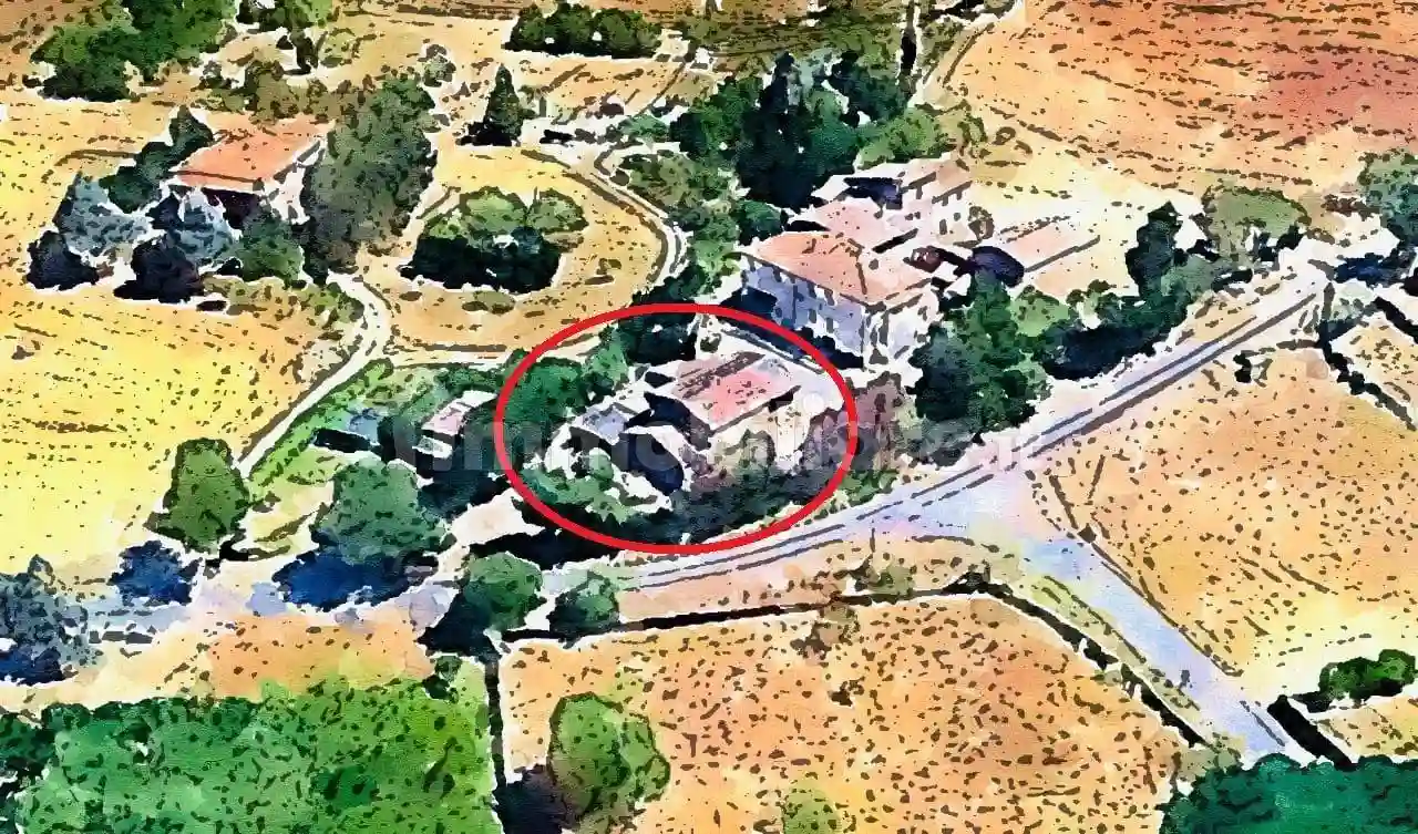 Rustico - Casale - foto 4