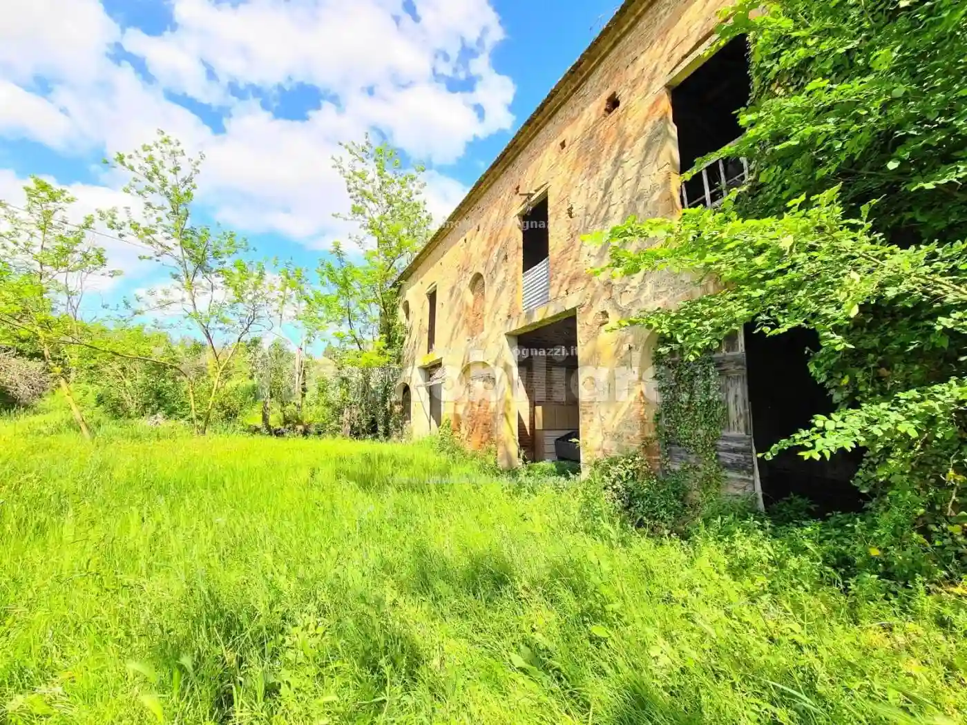 Rustico - Casale - foto 3