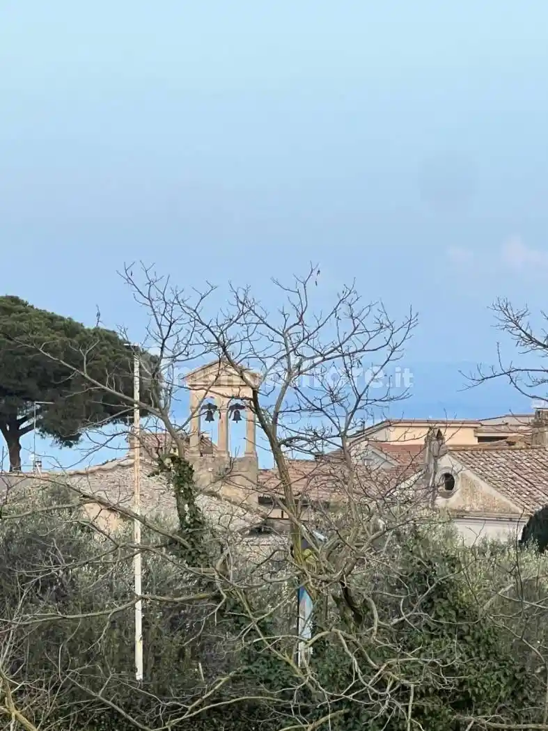 Appartamento in affitto a Bracciano