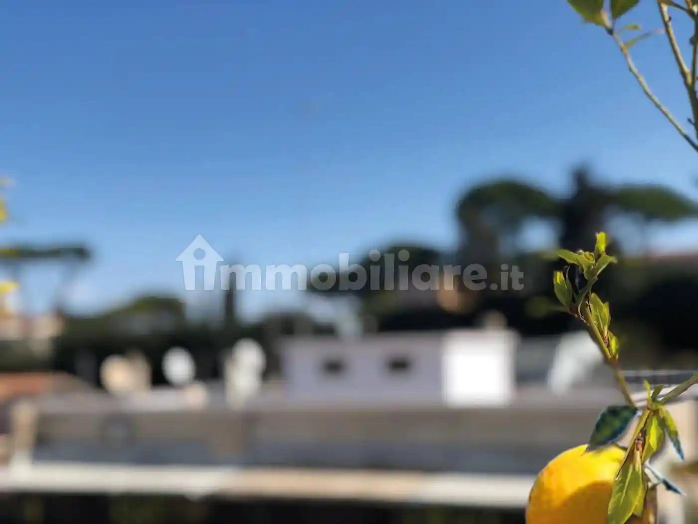 Attico - Mansarda in affitto a Roma